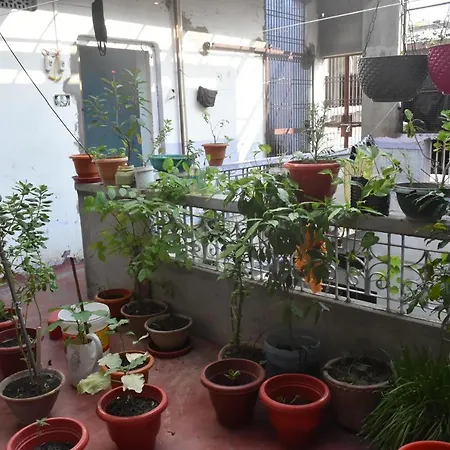 Bed & Breakfast Suraj Inn-3